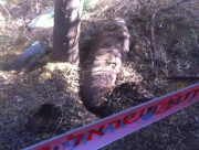 قوات الأمن توصي المواطنين باتخاذ التدابير اللازمة استعداداً لتفجير قذيفة مدفعية 